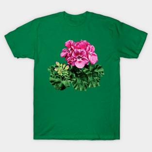 Pink Geranium with Dew T-Shirt